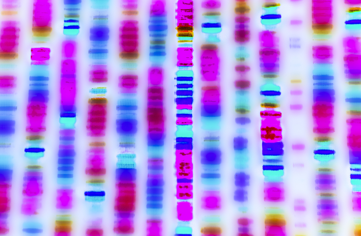 Abstract colored pattern resembling a DNA gel electrophoresis result