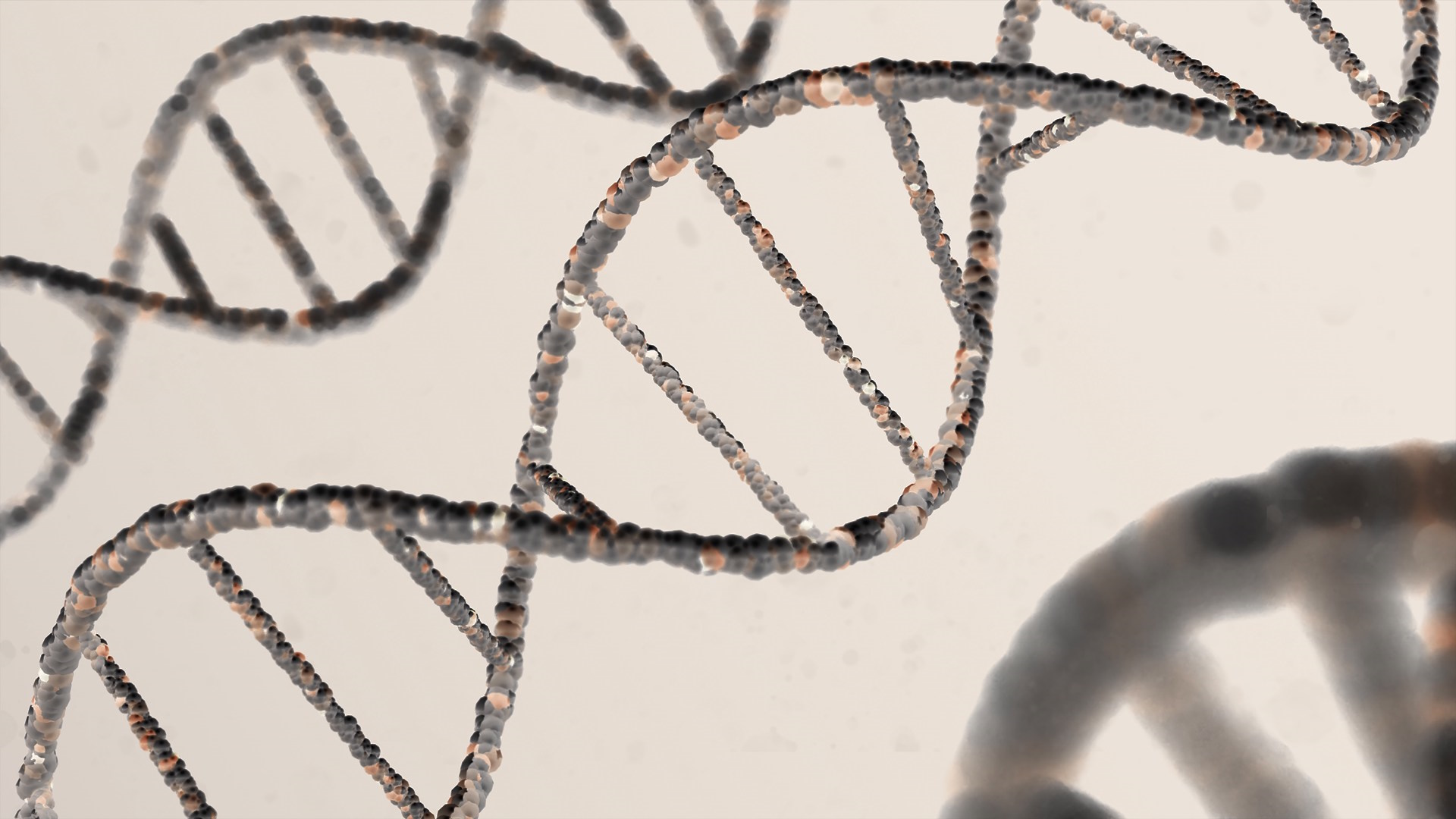 DNA double helix